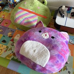 Pink kitty bean bag.