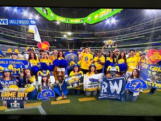 LA RAMS BIG PLUSH NFL