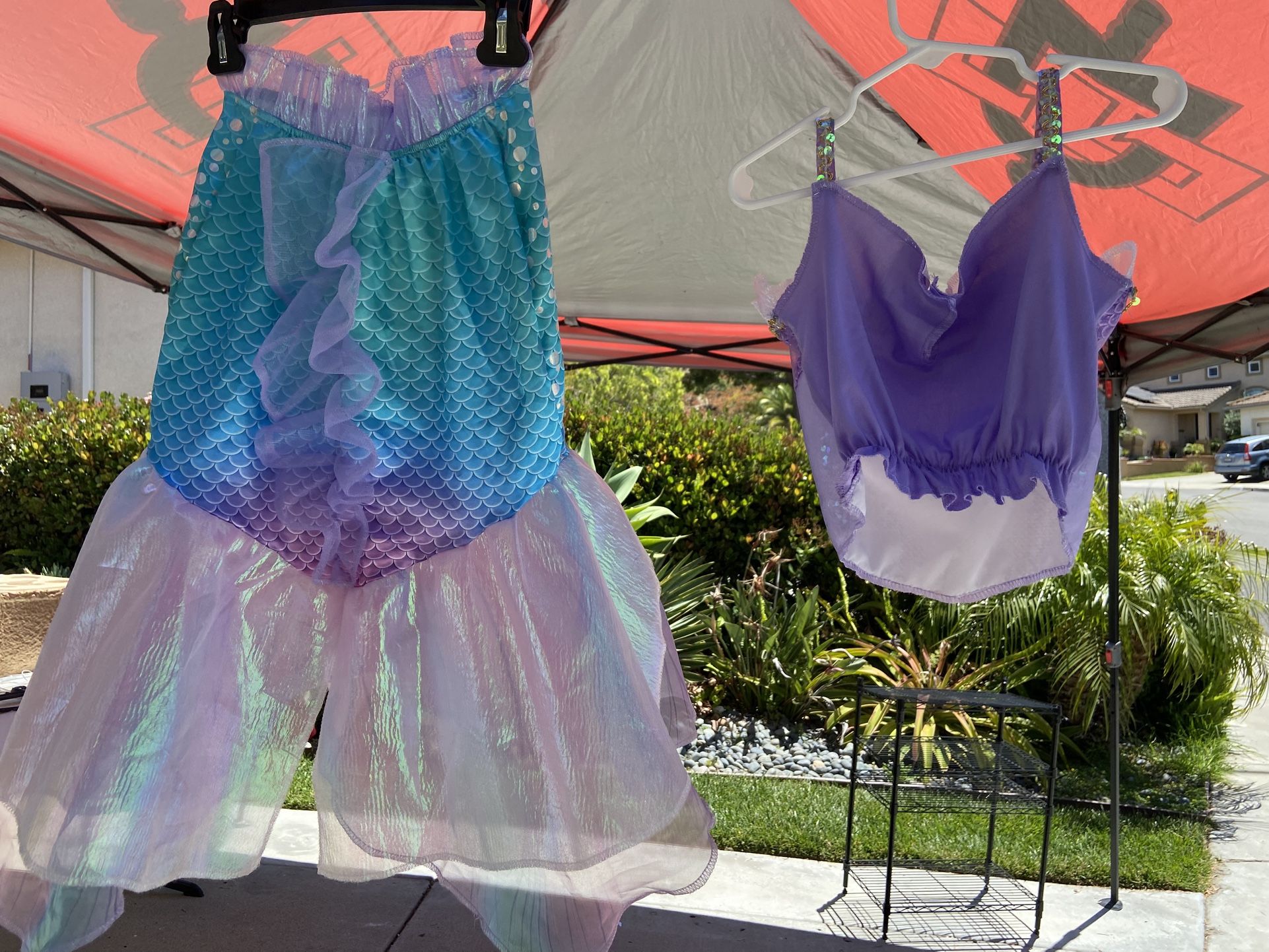 Little Mermaid Costume