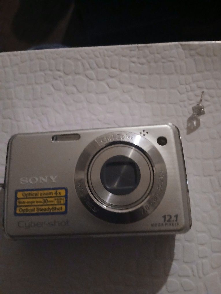 Sony Cybershot. 12.1.
Megapixels
