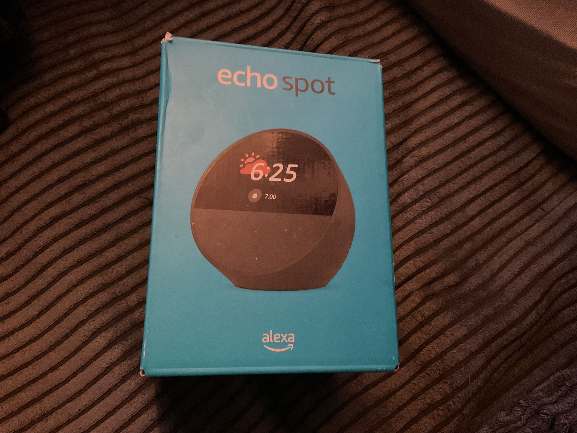 Echo Spot