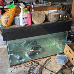 90 Gallon Fish Tank