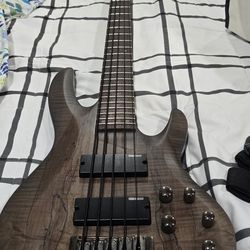ESP
LTD B-205 5-String Bass Guitar Spalted Maple Trans Black Satin
