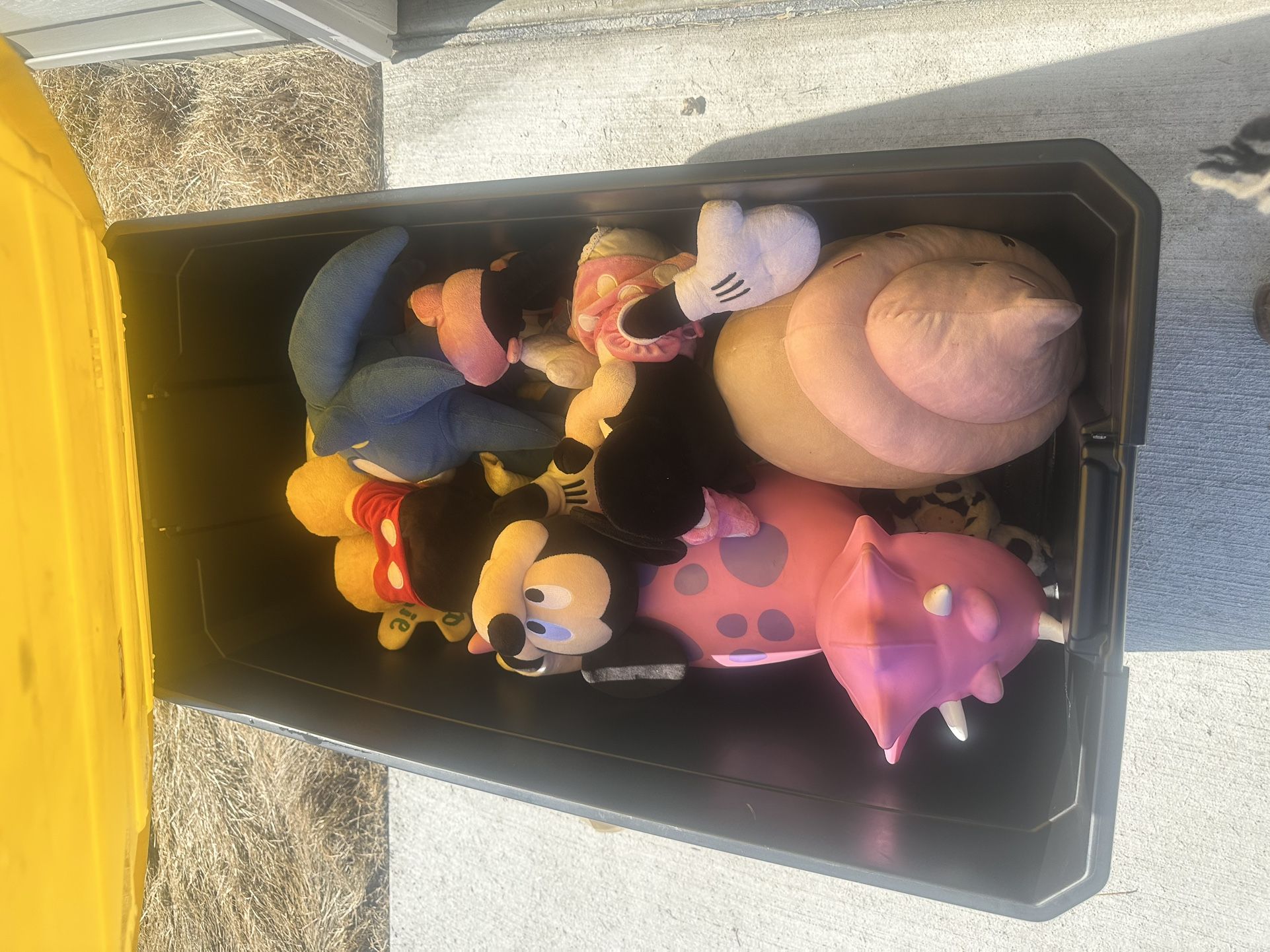 Free Toys