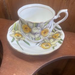 Antique Royal Albert Daffodils Teacup And Saucer Set 