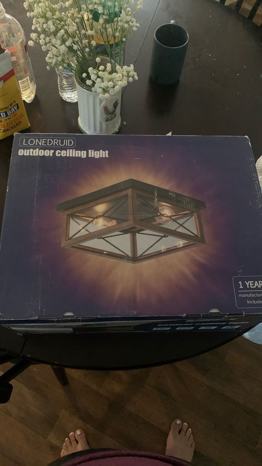 1 Indoor Outdoor Light Fixture