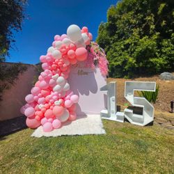 Free Balloon Arch ! ONLY Balloons! 