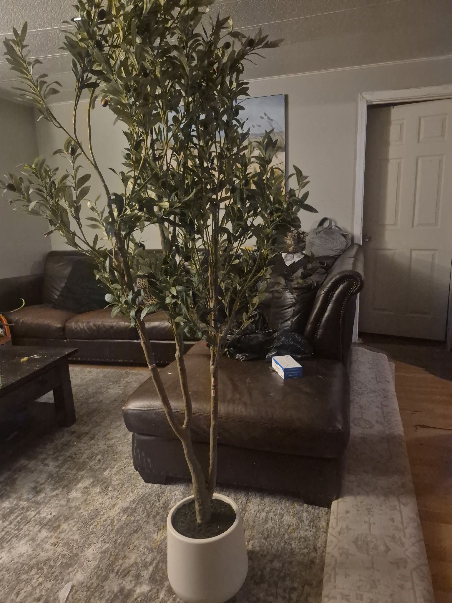 Fake Olive Tree