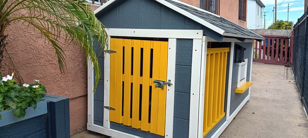 Dog House