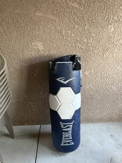 80 Lb Everlast Heavy Bag
