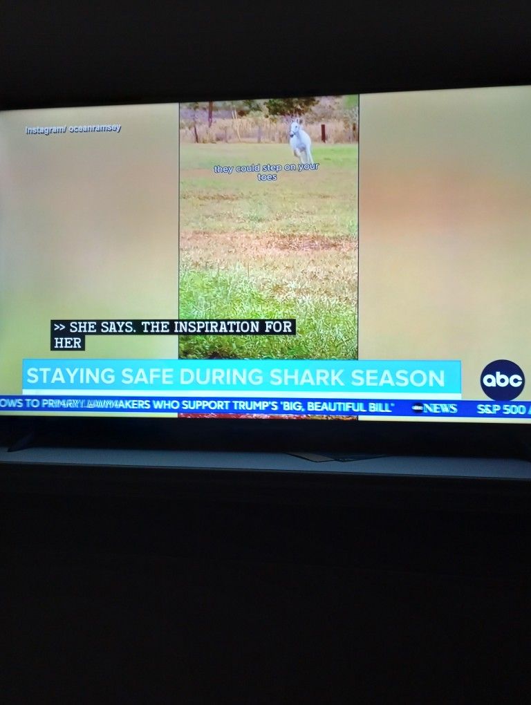 55 Inch TCL Smart TV