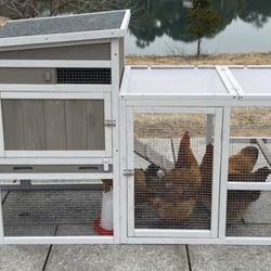 Chicken Coop New
