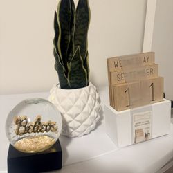 Snow Globe Desk Calendar Decorative Plant