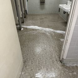 Floor Scrub