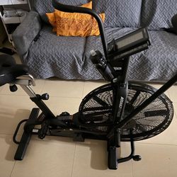 Assault Air Bike Classic 