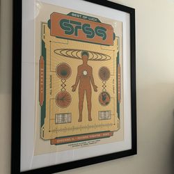 STS9 Poster Framed Chicago Riviera