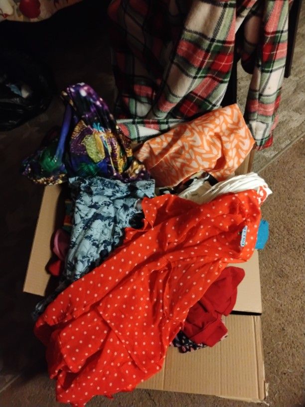 Women's Clothing And Shoes 