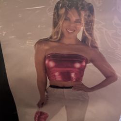 Pop Princess Costume/Adult Size-L/XL/Brand New