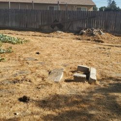 Bobcat  Skid Dump Trailer 