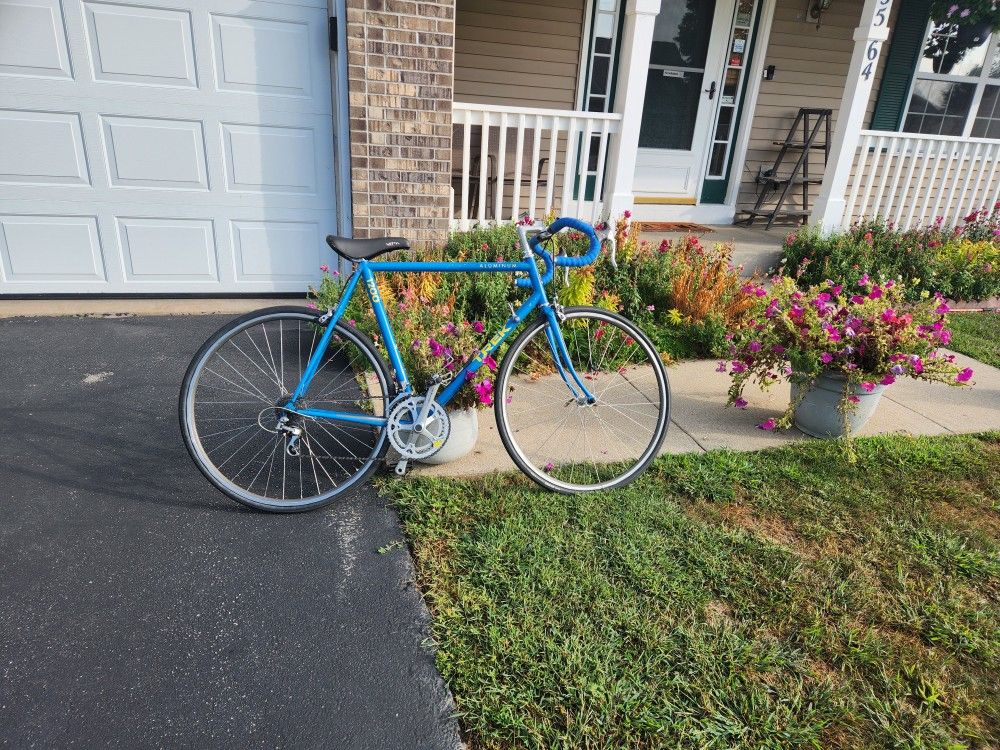 TREK ROAD BIKE