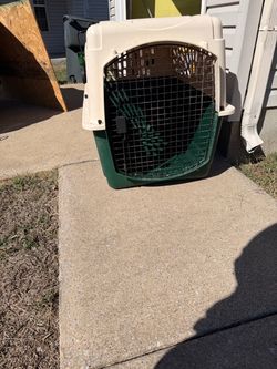 Large kennel