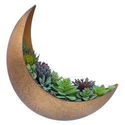 Wall Mounted Metal Moon Planter - Hanging Crescent Pot for Succulents, Air Plant, Cactus