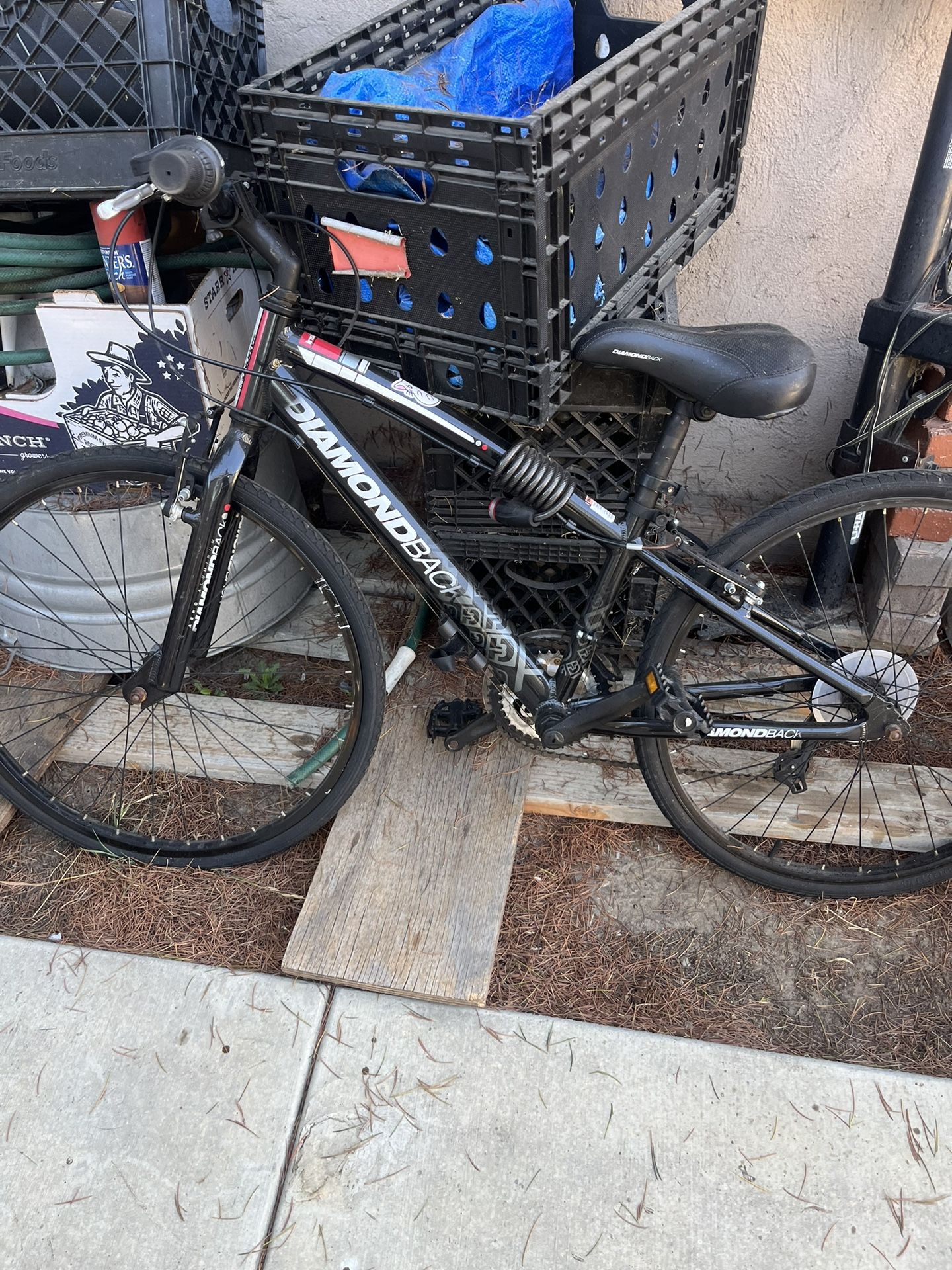 Diamondback Black Bike