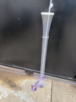Fat Tuesday’s Cup