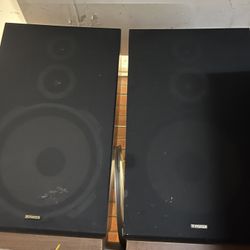 Vintage Fisher Speakers 