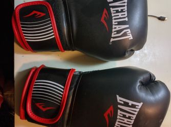 Everlast Boxing Gloves 