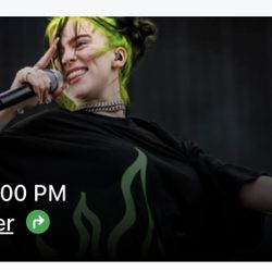 Billie Eilish Concert 1 Ticket Section 318