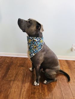Handmade stretch dog bandanas