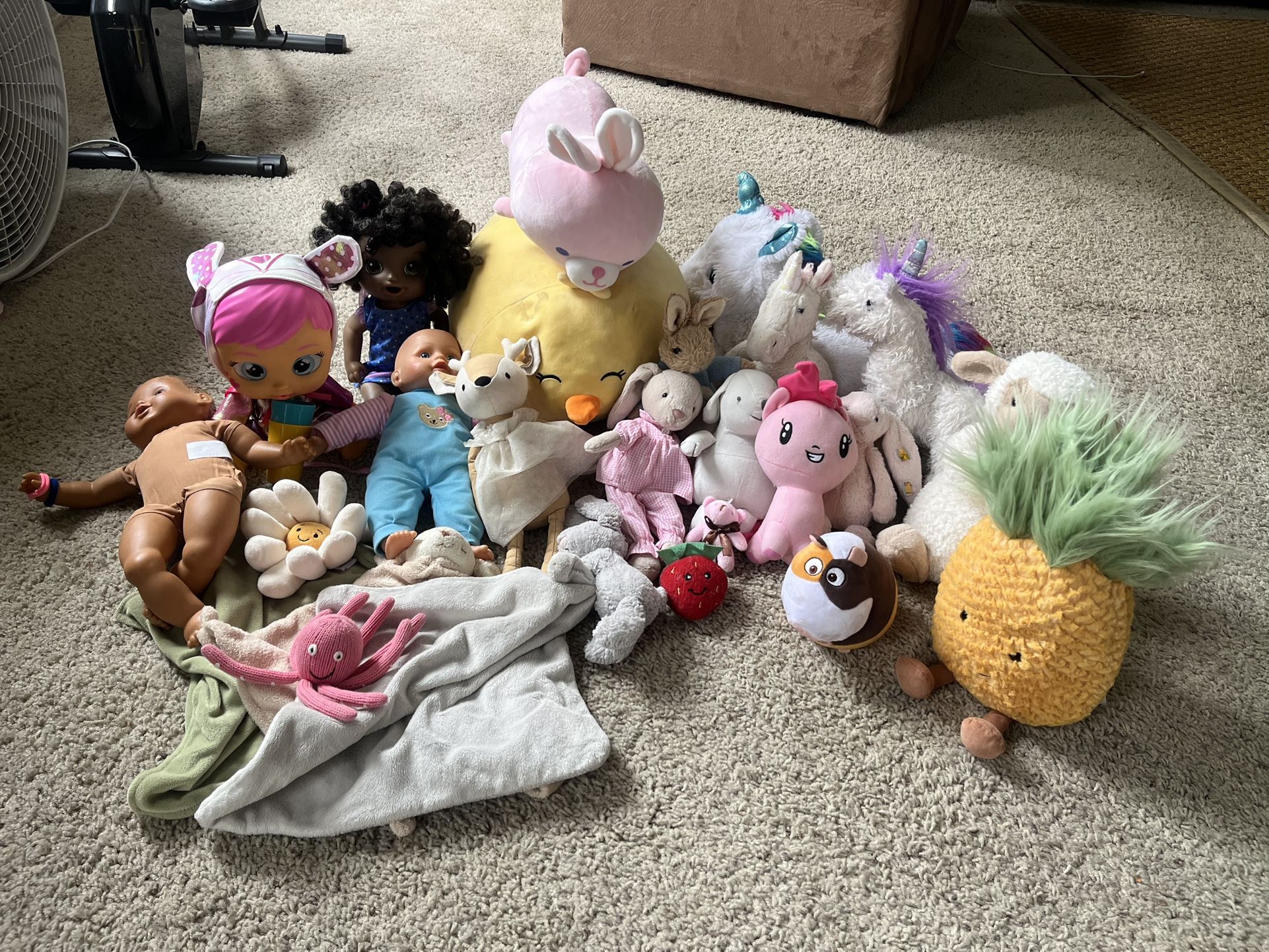 Toys and Plushies