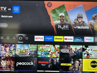 65 Inch Insignia Fire Tv With Alexa Voice Remote