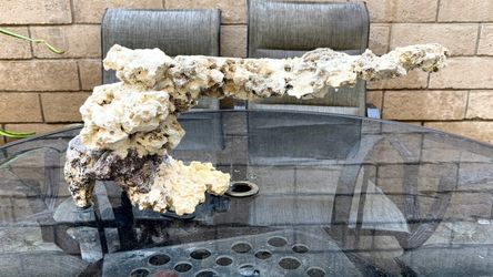 Aquarium Reef Rock