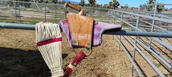 Bareback rigging.