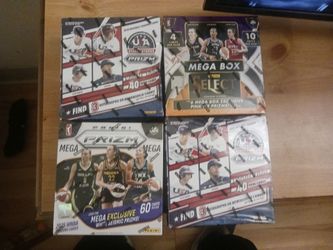 Panini 2025 and 2026