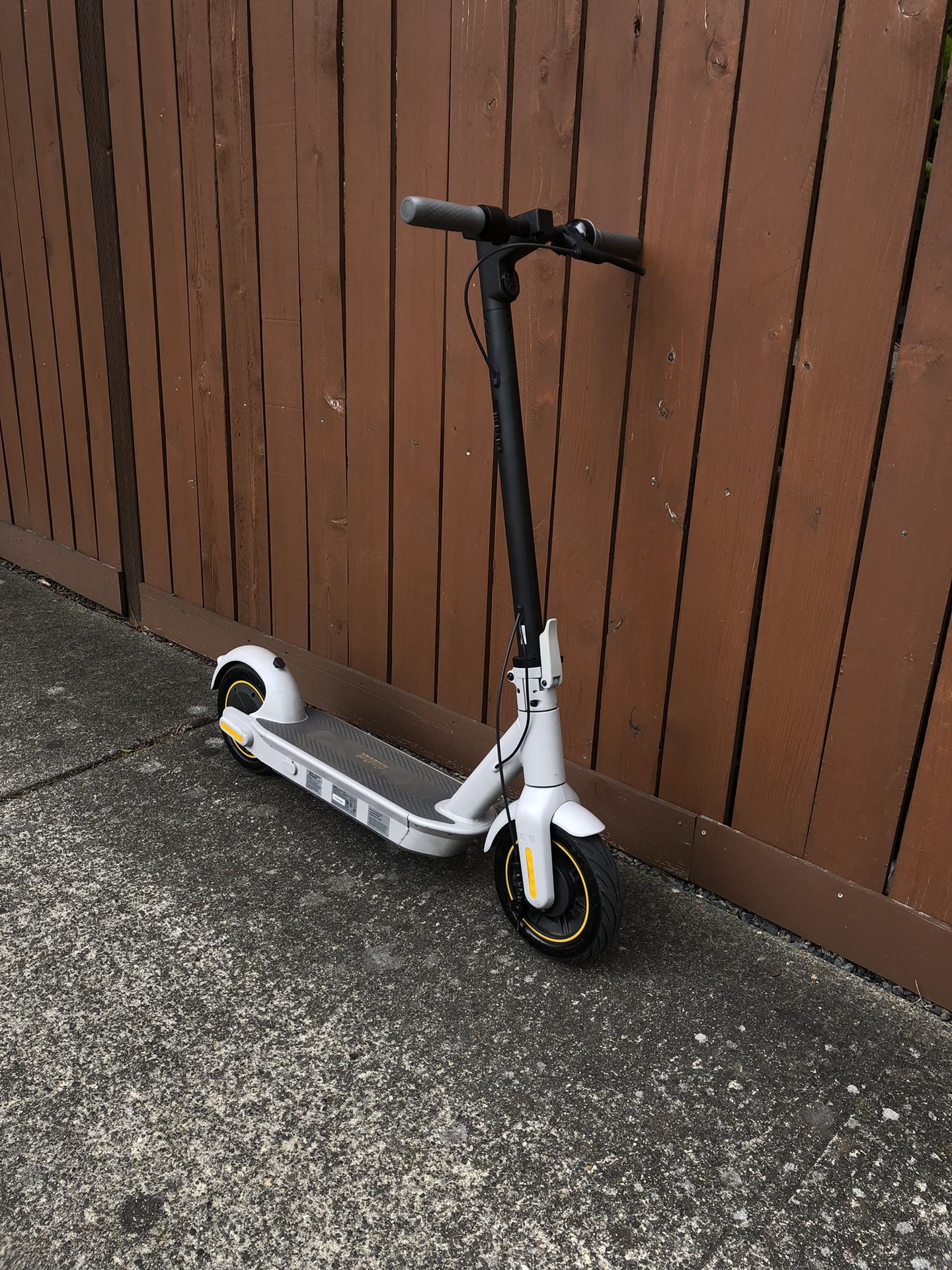 Electric Scooter