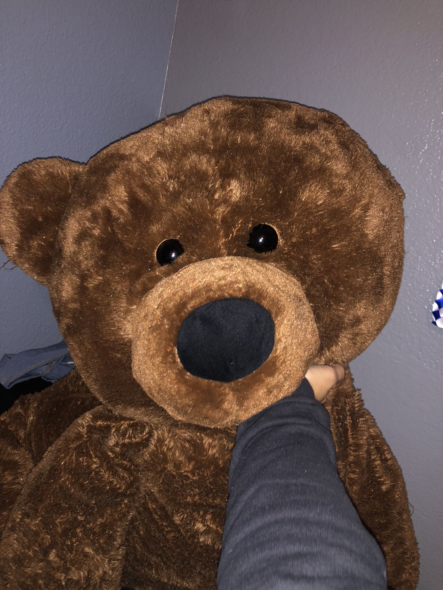 Giant Teddy bear