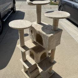 Cat Condo