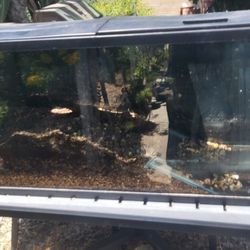 Aquatic Tank - 58 gallon - $25