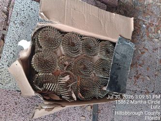 Screws for roofing chingon