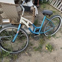 Schwinn Beach Cruiser