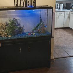 60 Gallon Aquarium with extras 