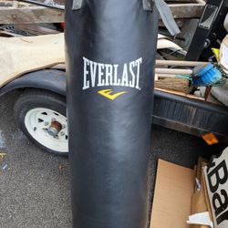 Everlast 100 Lb Heavy Bag