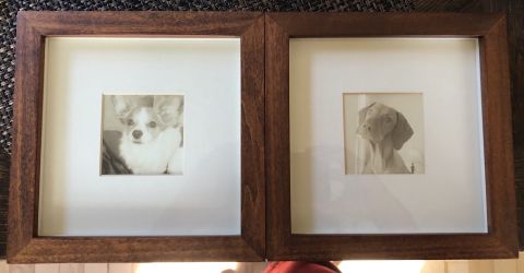 2 Pottery Barn Frames 7 1/2 inch square dogs