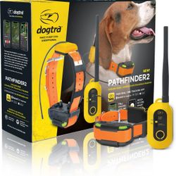 Dogtra Pathfinder 2 Mini