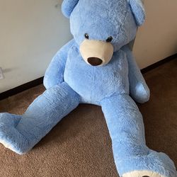Big Teddy Bear