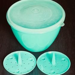 1960s Tupperware®️ Crisp-It™️ Lettuce Keeper, 2 Spikes