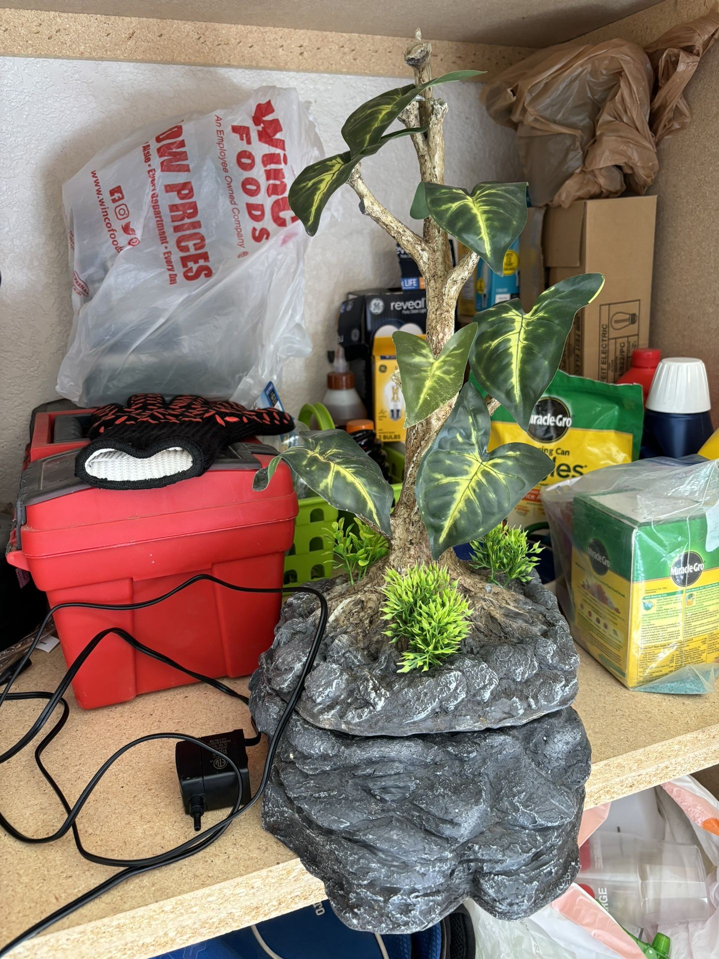 Reptile terrarium for Sale in Chandler, AZ - OfferUp